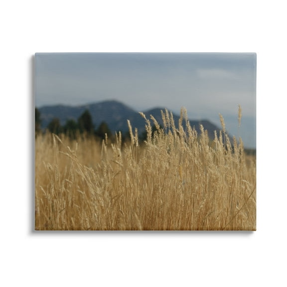 Stupell Industries Wheat Field Landscape Nature Photography Gallery Wrapped Canvas Print Wall Art, 20 x 16