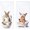 Bunny Brath, variant on Funny Hedgehog Bathroom Hand Towels, Hedgehog Lovers Gifts, Funny Toilet Paper Forest Animal Decorative Hand Tea Towels for Kids Bathroom Washroom, 16x24 Inch
