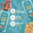 thumbnail image 2 of Champú anticaída Mielle Organics Sea Moss 350 ml, 2 of 6