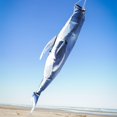 thumbnail image 3 of In the Breeze 5243 — Humpback Whale 48-inch Fish Windsock — Detailed, Fully Printed Inflatable Windsock, 3 of 5