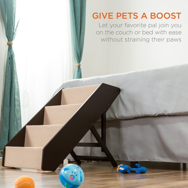 Modern dog steps 2025