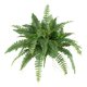 thumbnail image 1 of Helecho artificial de Boston casi natural de 1,02 m con 56 hojas, 1 of 3