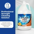 thumbnail image 7 of STEAM AND GO Multi-Purpose Cleaner and Stain Remover, All Purpose Cleaner, Orange Scent, 1 gal, 7 of 7