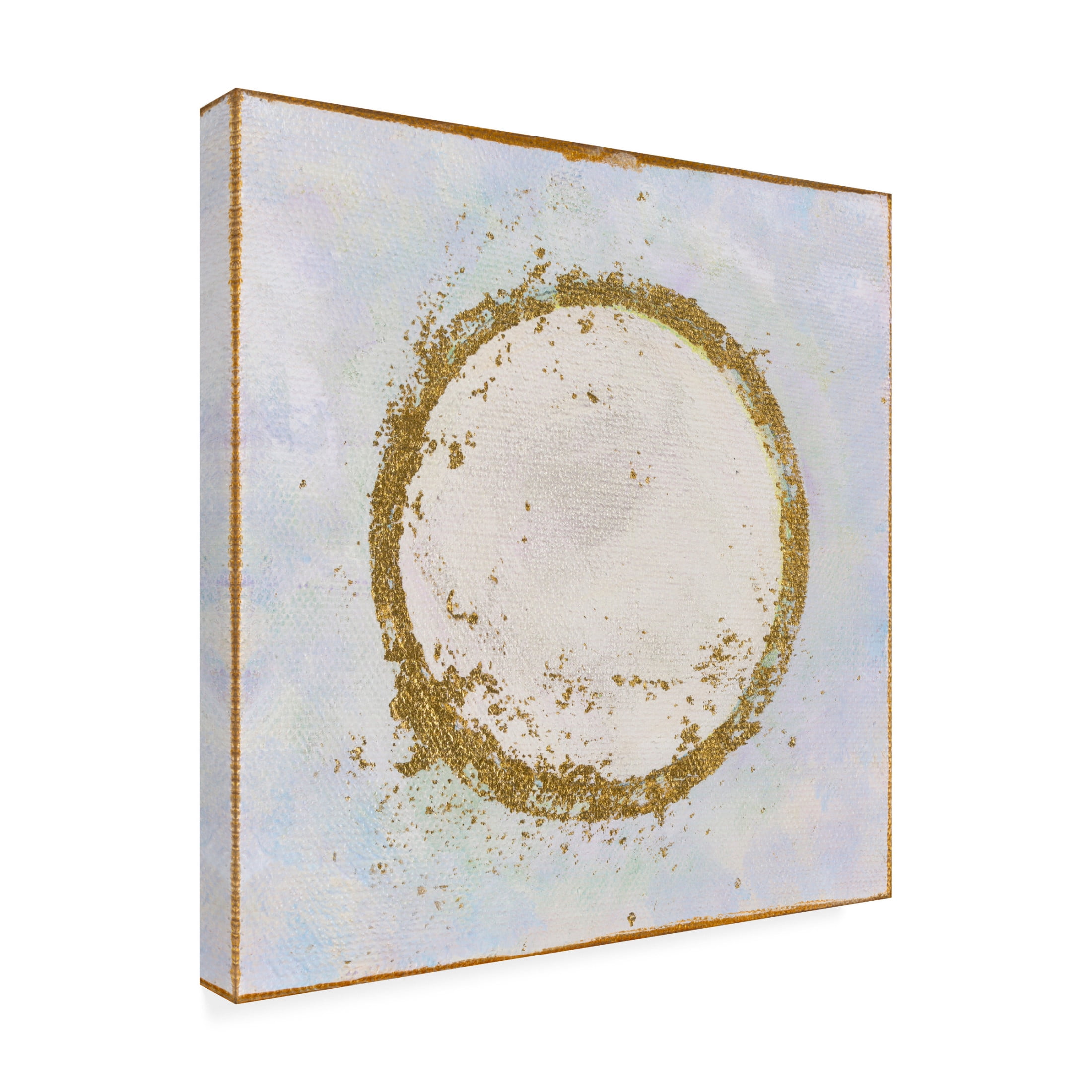 Trademark Fine Art Jodi Fuchs Angel Portrait IV Canvas Wall Art