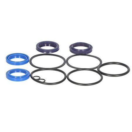 Power Steering Cylinder Repair Kit - 1", New, Mahindra, 00555874R92