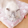 thumbnail image 4 of Estera de cama para perros y gatos, lavable, lindos estampados, cama para dormir para gatos, manta gruesa para mascotas, suave, cálida para todas las estaciones, cama para perros, 4 of 4