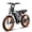 48V-16AH-Black, variant on Bike U Lock,Heavy Duty Bicycle U Lock with Mount Holder for Mountain Bikes, Ebikes,Bluvall Ebike(Free Gift Ship with SU8 Ebike)