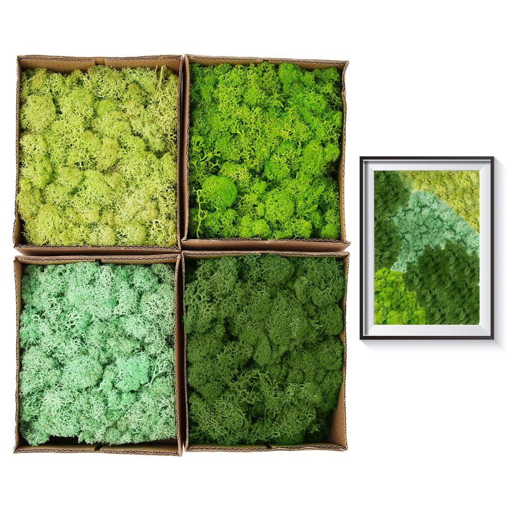 TurelinnG Preserved Moss 4 Color Reindeer Craft Moss, Total 14 OZ Each  Color 3.5 OZ, Fake Moss Suitable for Flowerbeds, Crafts, Home Office  Artistic