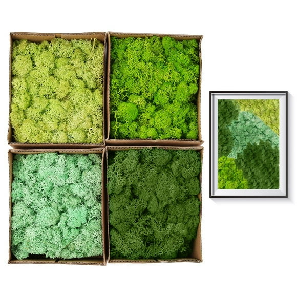 4-Color Preserved Mosses Set, Natural Dried Reindeer Moss, Colored Moss for Home Office Artistic Decoration, Green DIY Kit for Moss Crafts, 14oz in Total, Each 3.5oz