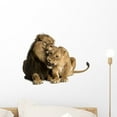 thumbnail image 1 of Lion and Lioness Cuddling Wall Decal by Wallmonkeys Peel and Stick Graphic (18 in W x 14 in H) WM298847, 1 of 4