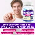 thumbnail image 4 of Extra Strength Choline 500 mg - Essential Nutrient Featuring VitaCholine® for Focus Support - Vegan Certified · Non-GMO · Gluten Free - 60 Liquid Capsules, 4 of 7