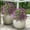Purple-PP, variant on Artificial Violet Flowers, Silk Flower Bouquet, Faux Purple Violet Outdoor Garden Decor, Lifelike UV Resistant Plastic Greenery for Patio Yard Landscape