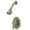 Brushed Nickel/Polished Brass, variant on Kingston Brass Royale Single Handle Shower Faucet