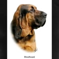 thumbnail image 3 of CafePress - Bloodhound 9Y404D 124 - Women's Dark Pajamas, 3 of 4