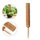 thumbnail image 5 of Palma - Postes soporte para plantas trepadora (50 cm), 5 of 9