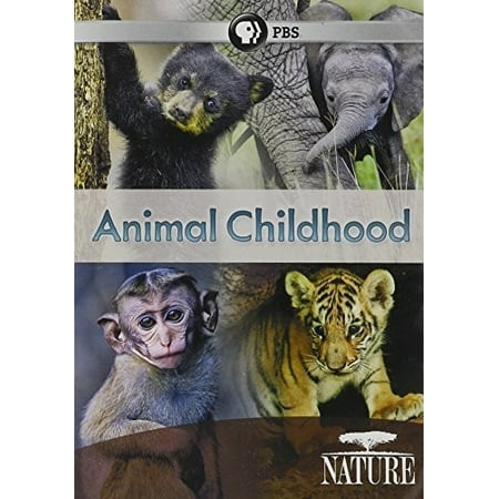 Nature: Animal Childhood (DVD) (The Best Nature Documentaries)