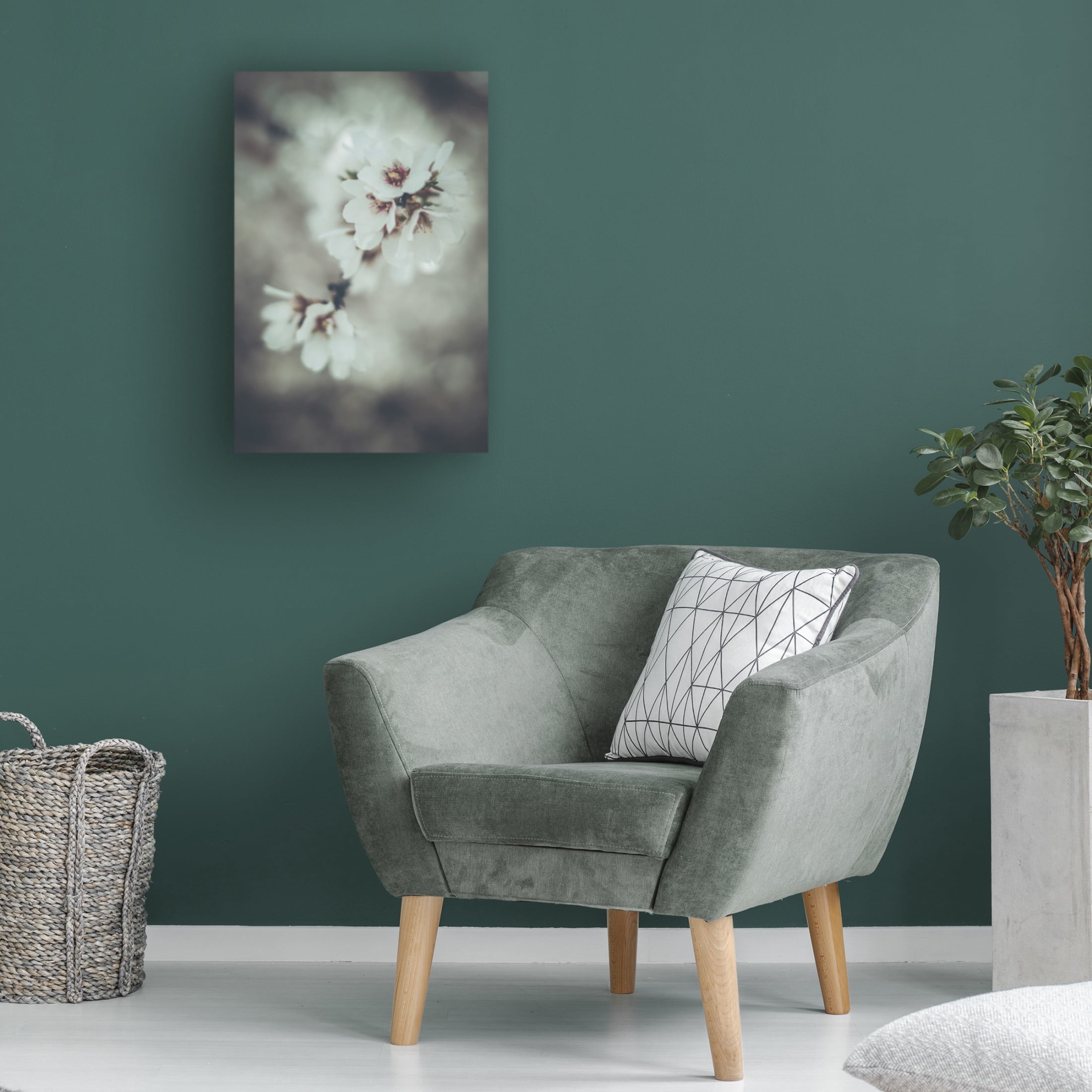Trademark Fine Art Tim Mossholder Almond Blossoms Canvas Wall Art