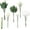 Green & White, variant on Artificial Greenery Stems Box Set, 25pcs with 4 Kinds of Faux Greenery Flowers Picks for DIY Bridal Bouquets Wedding Floral Arrangement Table Centerpieces, Tender Green & Sage Green