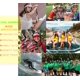 thumbnail image 4 of viseras de plástico unisex para golf, pub, festivales, protección solar, tenis, impermeables, para piscina, playa, verano, 4 of 4