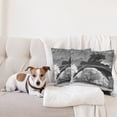 thumbnail image 4 of Ambesonne Black and White Throw Pillow Cover 2 Pack, Eiffel Tower View, 24", Blue Grey, 4 of 5