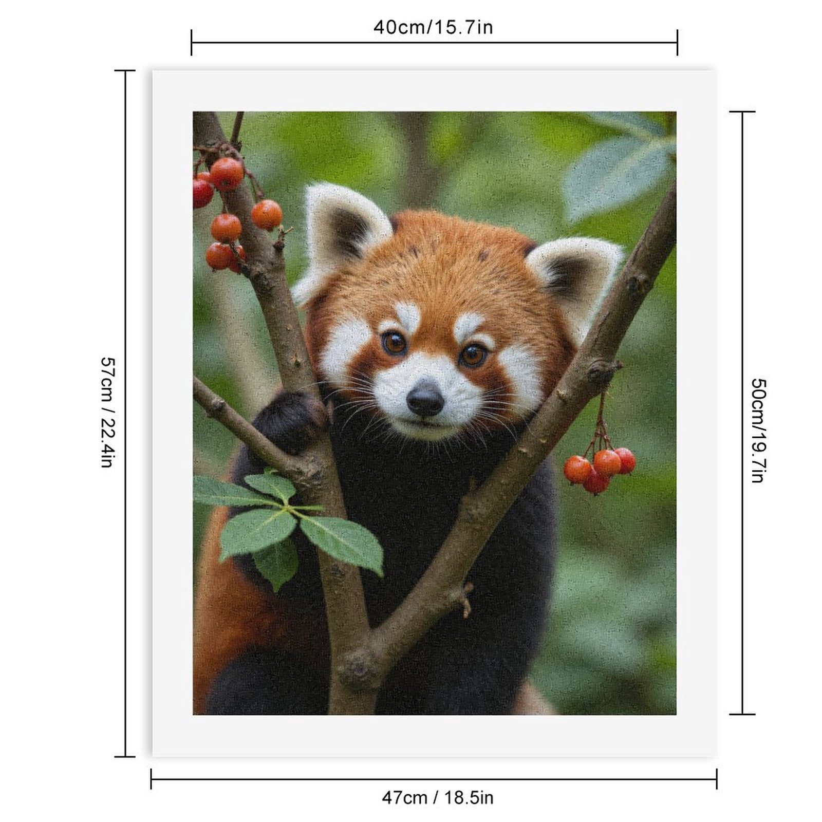 Paint by Numbers Kit for Adults, Red Panda Tree Branch Berries Cute Paint by Numbers, Easy Paint by Numbers Kit for Adults Beginner, DIY Adult Paint by Number Kits on Canvas, Home Decor