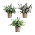 thumbnail image 2 of 3 piezas de plantas artificiales Strade Fareast Limited en maceta decorativas 8 cm x 8 cm, 2 of 8