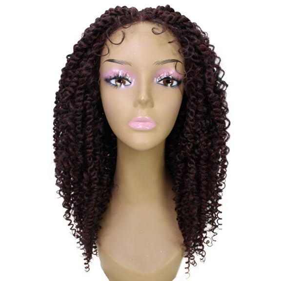 LUXLUXE Tierra Curly 19 in Long 4x4 Hand Tied Lace Braid Braided Wig, Beauty Heat Resistant Fiber, 20  Shades of Natural, Dip Dyed, & Blended Colors