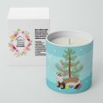 thumbnail image 2 of Carolines Treasures BB9245CDL 3.75 x 3.25 in. Unisex Ferret Christmas 10 oz Decorative Soy Candle, Teal, 2 of 5