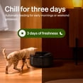 thumbnail image 4 of PETLIBRO Wet Food Refrigerated Automatic Pet Feeder with Stainless Steel Bowl for Cats, 4 of 11