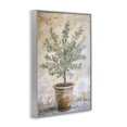 thumbnail image 2 of Stupell Industries Traditional Mediterranean Potted Olive Gray Framed Giclee Art, 16 x 24, by Petals Prints Design, 2 of 8