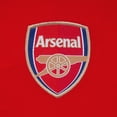 thumbnail image 3 of Arsenal FC Mens Polo Shirt, 3 of 7