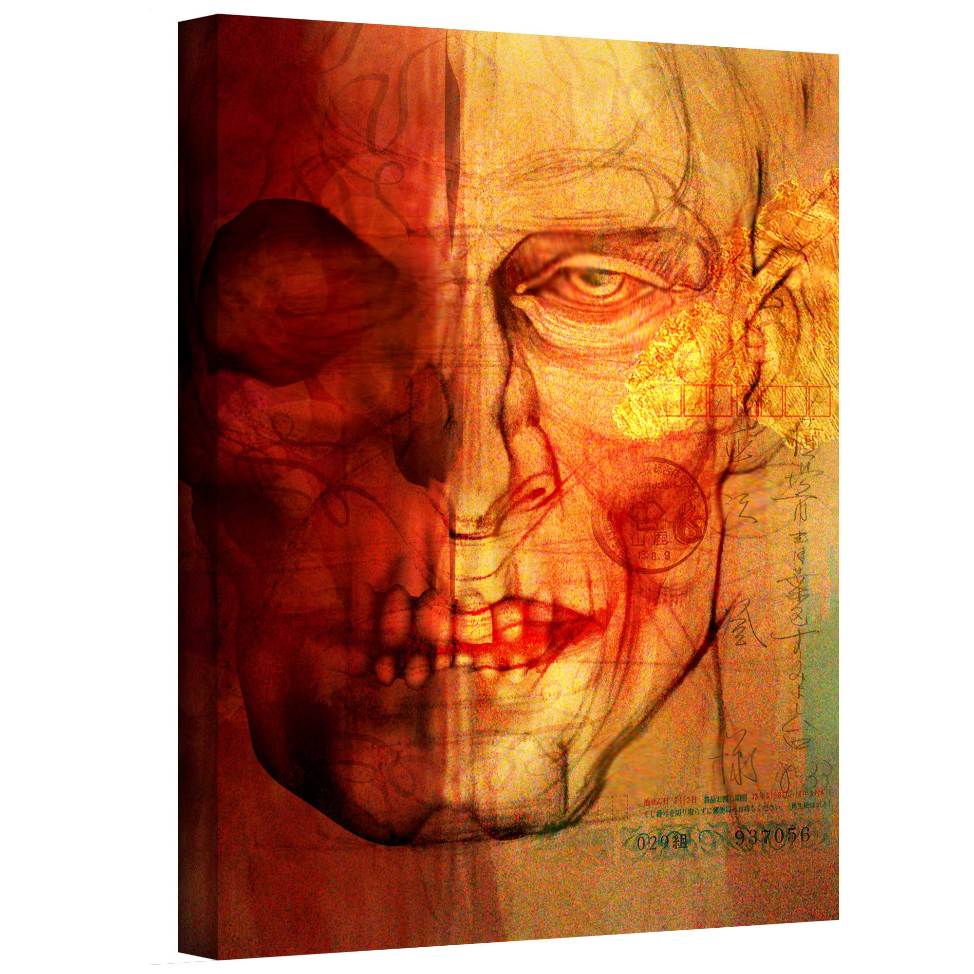 ArtWall Greg Simanson "Facial Anatomy" Gallery-wrapped Canvas