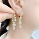 thumbnail image 5 of Censtreet Long Shape Fringed Crystal Earrings Water Drop Shape Hypoallergenic Dangle Earrings Jewelry For Women Ladies Fashion Earrings, 5 of 5