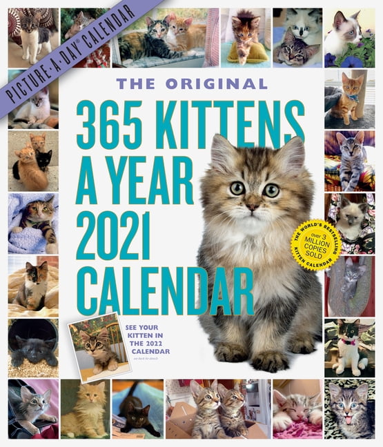 365 KittensAYear PictureADay Wall Calendar 2021