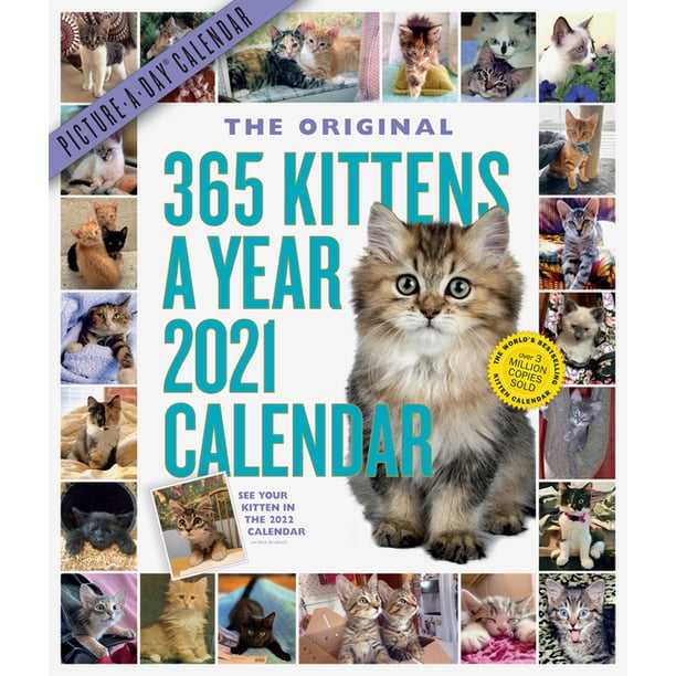365 Kittens A Year Picture A Day Wall Calendar 2021 Walmart 