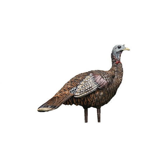 AVIAN-X LCD Lookout Hen Turkey Decoy | Durable Realistic Lifelike Collapsible Standing Hunting Decoy with Carry Bag & Stake, AVX8006