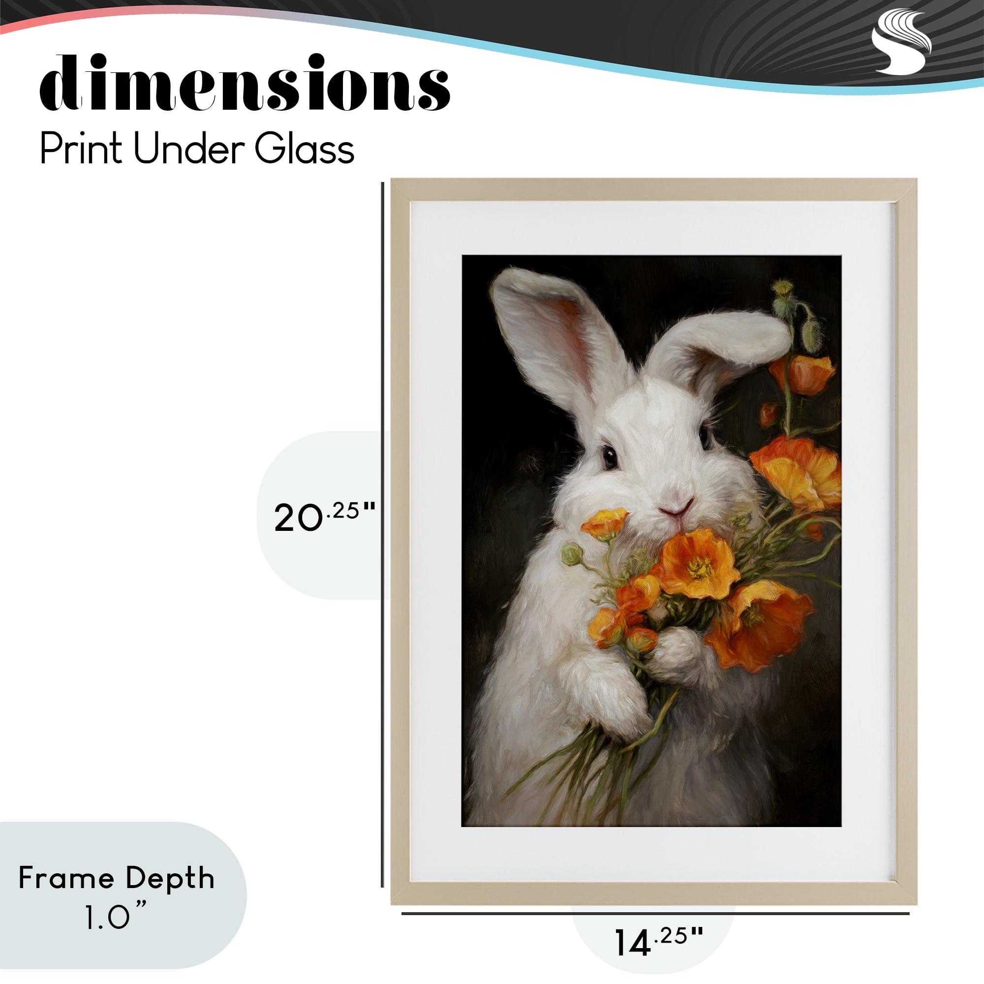 Stupell Industries Floppy Loves Her Poppies Birch Framed Print Under Glass, design by Tina LeCour