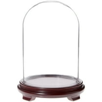 Plymor 8" x 12" Glass Display Dome Cloche (Red Wood Veneer Footed Base)