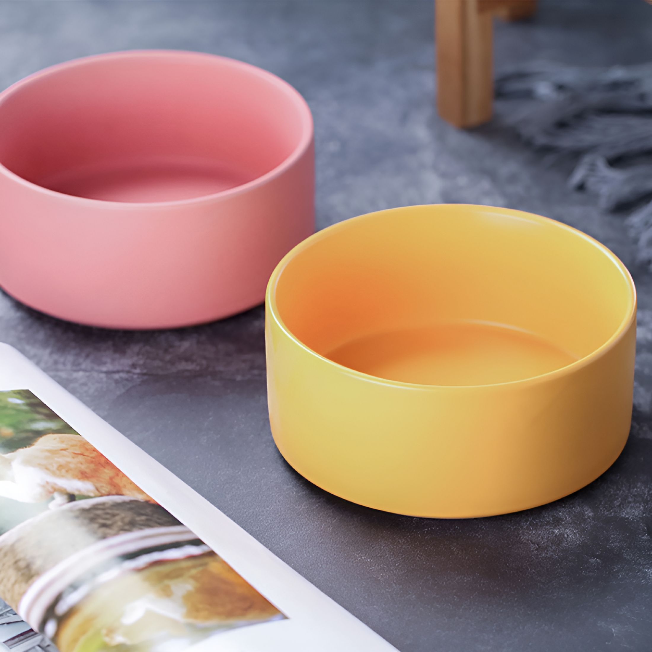 ACDANC 2026 New Raised Dog Bowl with Stand - Elevated Feeder - Ceramic Dog Food Bowl - 28 Oz for Home, Kitchen, Dining Room, Pet Area, Office