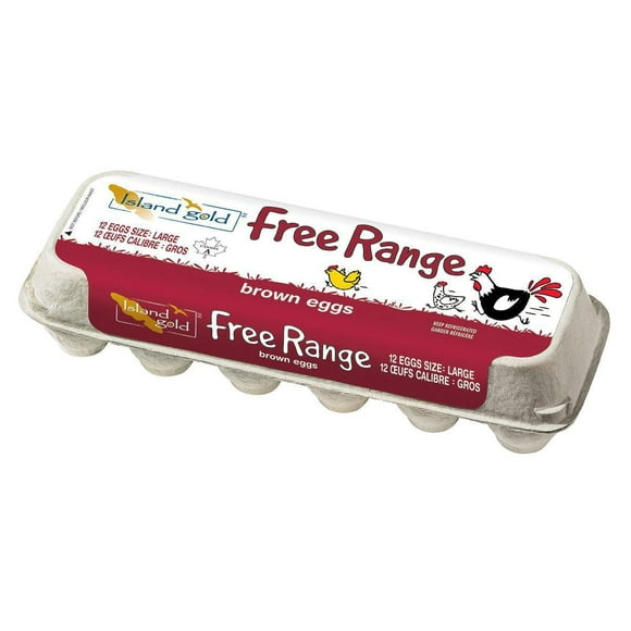 Island Gold Large Free Range Brown Eggs, 12 eggs / carton