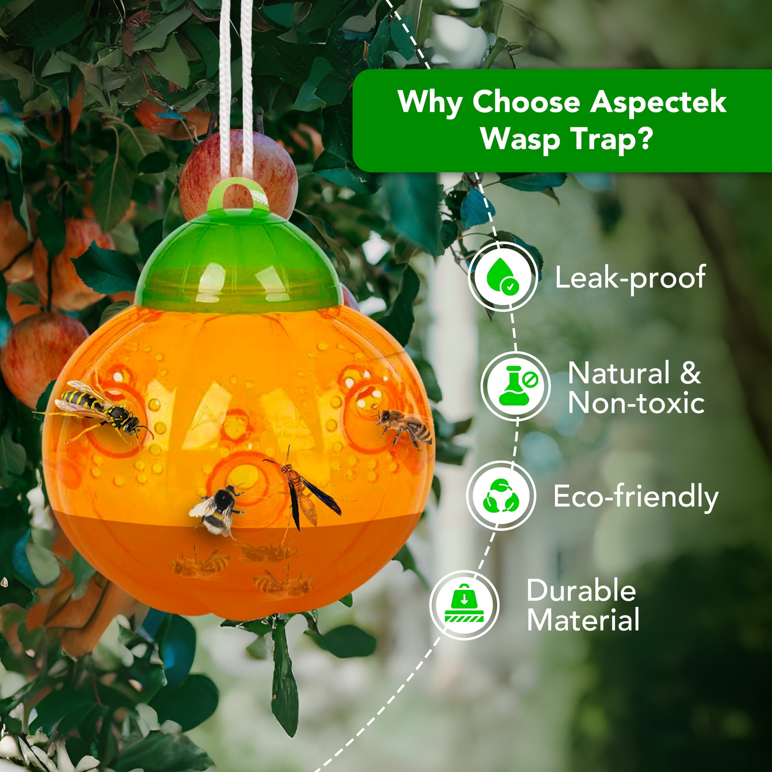 Aspectek Wasp Trap - Wasp Trap Catcher, Bee Trap, Outdoor Wasp Deterrent Killer Insect Catcher Honeybee Trap