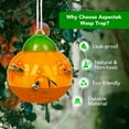 thumbnail image 5 of Aspectek 2-Pack Wasp & Bee Trap - Outdoor Insect Catcher & Wasp Deterrent, Effective Honeybee & Wasp Killer, 5 of 9
