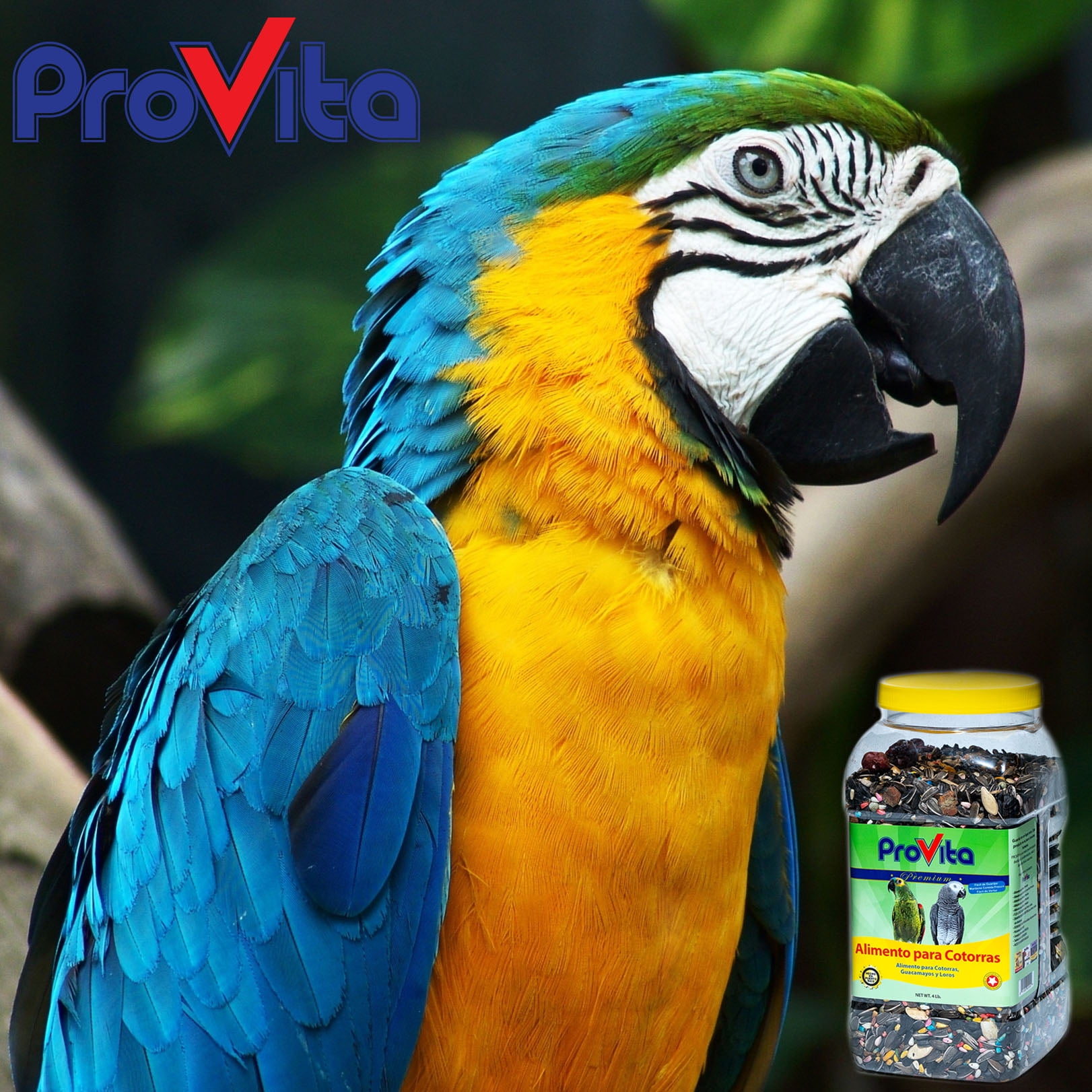 Provita Premium Seed Parrot Food, 4Lb. Jar
