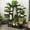 Black, variant on ShadeMart Bamboo A-Frame Plant Shelf Stand 8 Tier for Indoor and Outdoor Useï¼Yellow