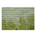 thumbnail image 2 of Brick Wall Cutting Board, Ground Creepy Climbing Wood Ivy Plant Leaf on Brick Wall Nature Flower Invasion, Decorative Tempered Glass Cutting and Serving Board, Large Size, Green White, by Ambesonne, 2 of 5