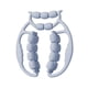 thumbnail image 3 of Rodillo masajeador de piernas, equipo de rodillo muscular, abrazadera de pierna de mano, rodillo de muslo para Azul, 3 of 9