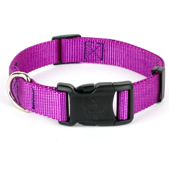 Country Brook Petz® Everyday Bright Purple Nylon Dog Collar, Large