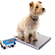 Brecknell Portable Shipping Scale - 400 Lb / 181 Kg Maximum Weight Capacity - Stainless Steel - White (lps400_35)