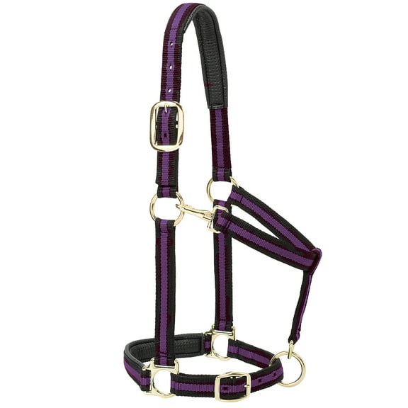Weaver Leather Padded Adjustable Halter L Purple
