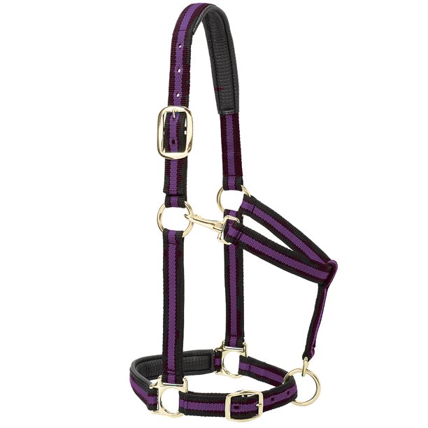Purple Weaver Western Padded Snap Horse Halter 1" Large Horse Draft